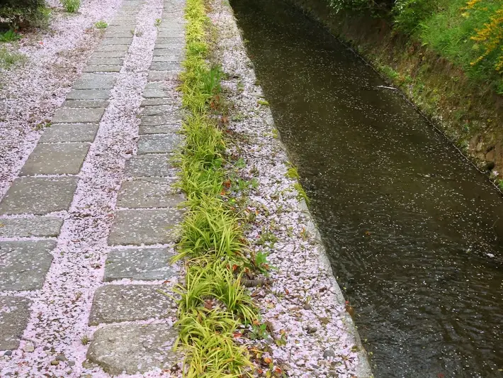 Adam Gorski Landscapes service area covering North Bend, WA and surrounding neighborhoods