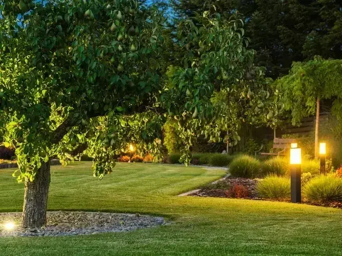 Landscape Architect