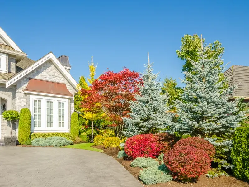 Professional service work by Adam Gorski Landscapes in North Bend