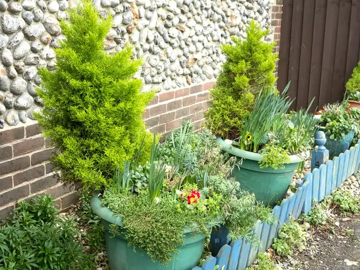 Professional Planting services services by Adam Gorski Landscapes in North Bend, WA &mdash; licensed scene Architect provider